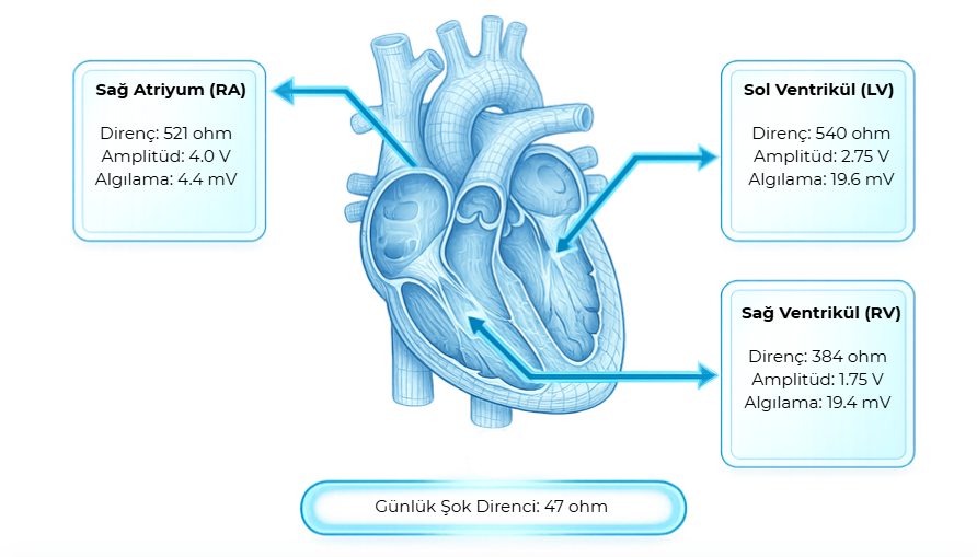 Kalp Odacıkları Teknik Veri Şeması